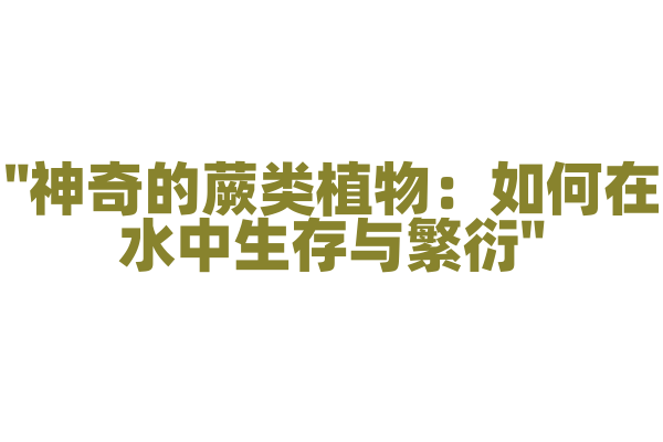 "神奇的蕨类植物：如何在水中生存与繁衍"